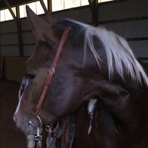 Meet your Posher, Breanna